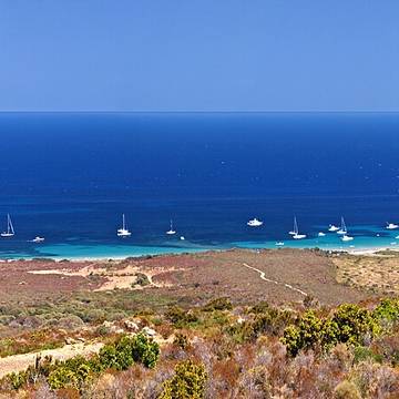 Tour génoise de Rogliano
